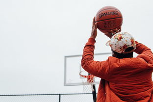 Leyu Sport登录入口-中国篮球运动员篮板球技术训练策略，中国篮球运动员篮板球技术训练策略分析