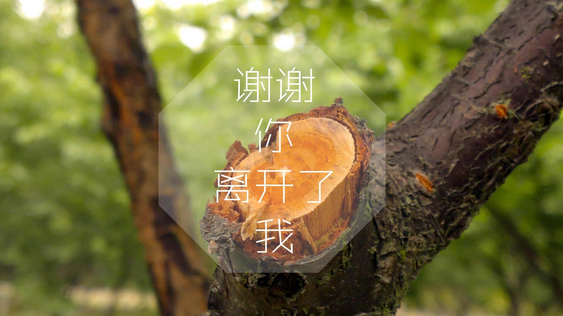 LeyuSports-中超球队边后卫技术特长与战术分工对比，中超边前卫