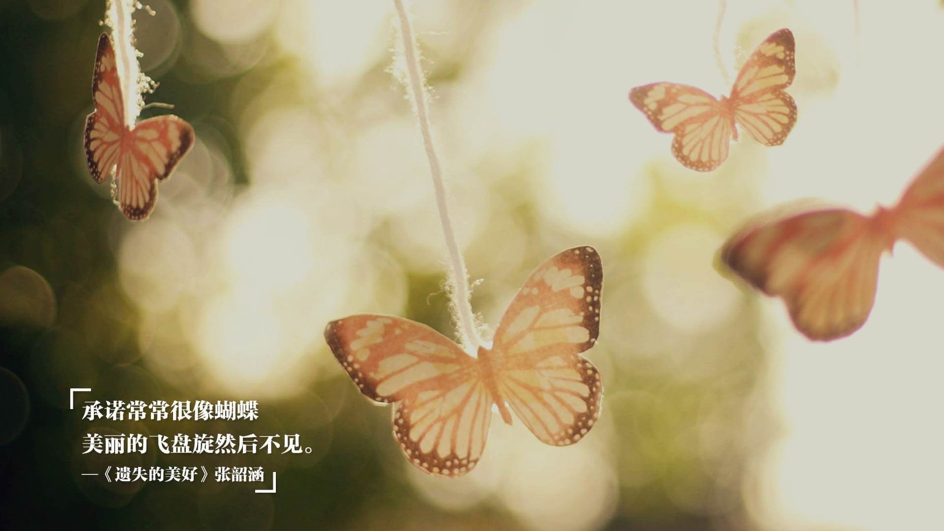 乐鱼电竞-全民健身赛事政策执行评估与区域差异分析，全民健身赛事活动的意义