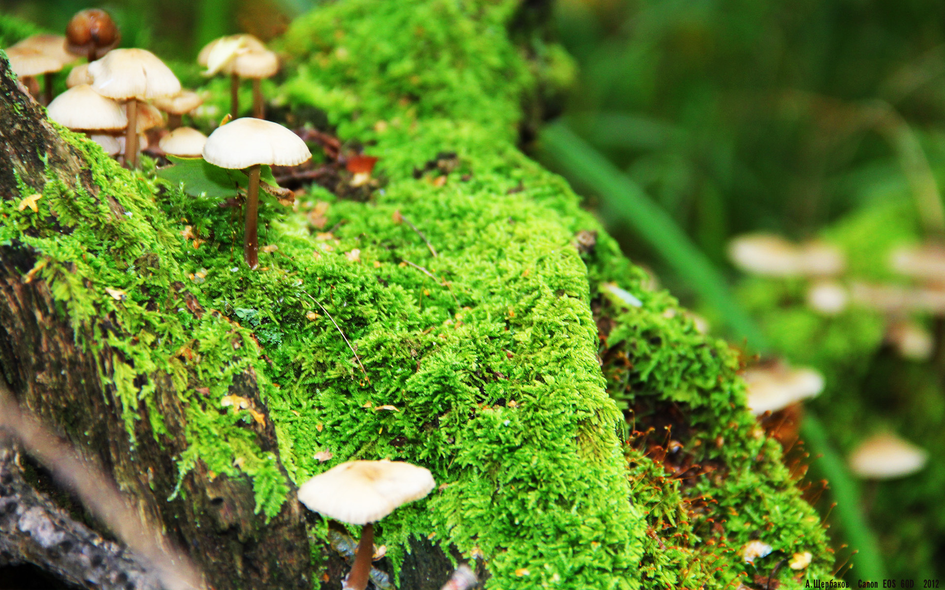 中国男篮注重控球能力 提高比赛节奏控制,中国篮球队控卫