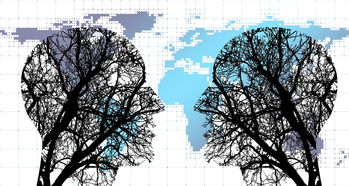 LEYU乐鱼体育官方网站-体育新闻中心协同多方建立体育内容风控机制，体育新闻机构