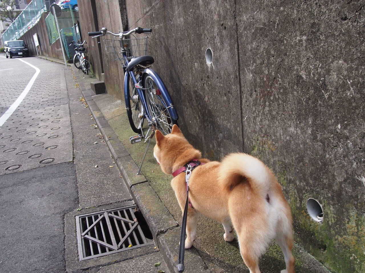 乐鱼电竞在线平台-国家队在高强度对抗中为何失误频频，国家队对战
