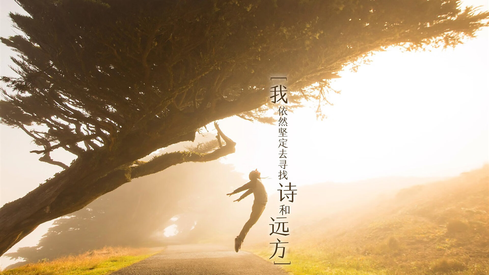 德国队在国际乒联混合团体世界杯中的赛制优势与挑战,德国乒乓球有联赛吗