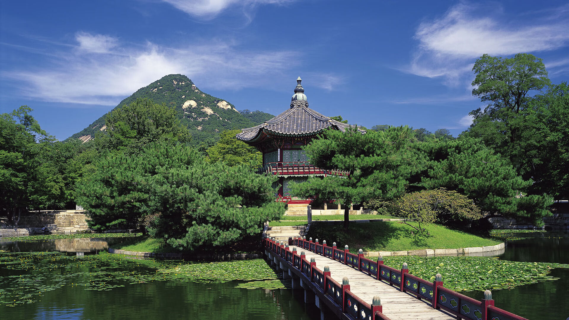 波兰队赛制分析:如何通过赛制提高球员的应变能力,波兰队怎么样