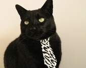 乐鱼体育平台app下载-美澳蝶泳收官冲刺惊艳全场，超美的蝶泳