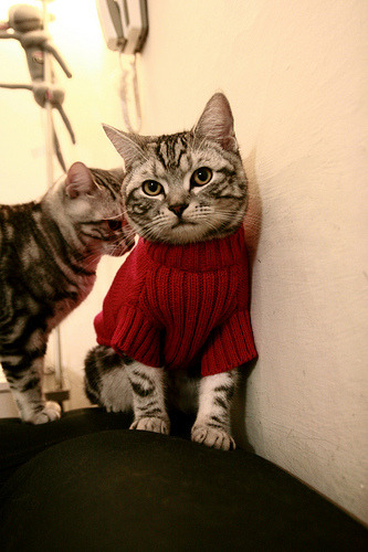 乐鱼体育App下载-世界杯精彩瞬间：逆境中的绝地反击，世界杯经典逆袭