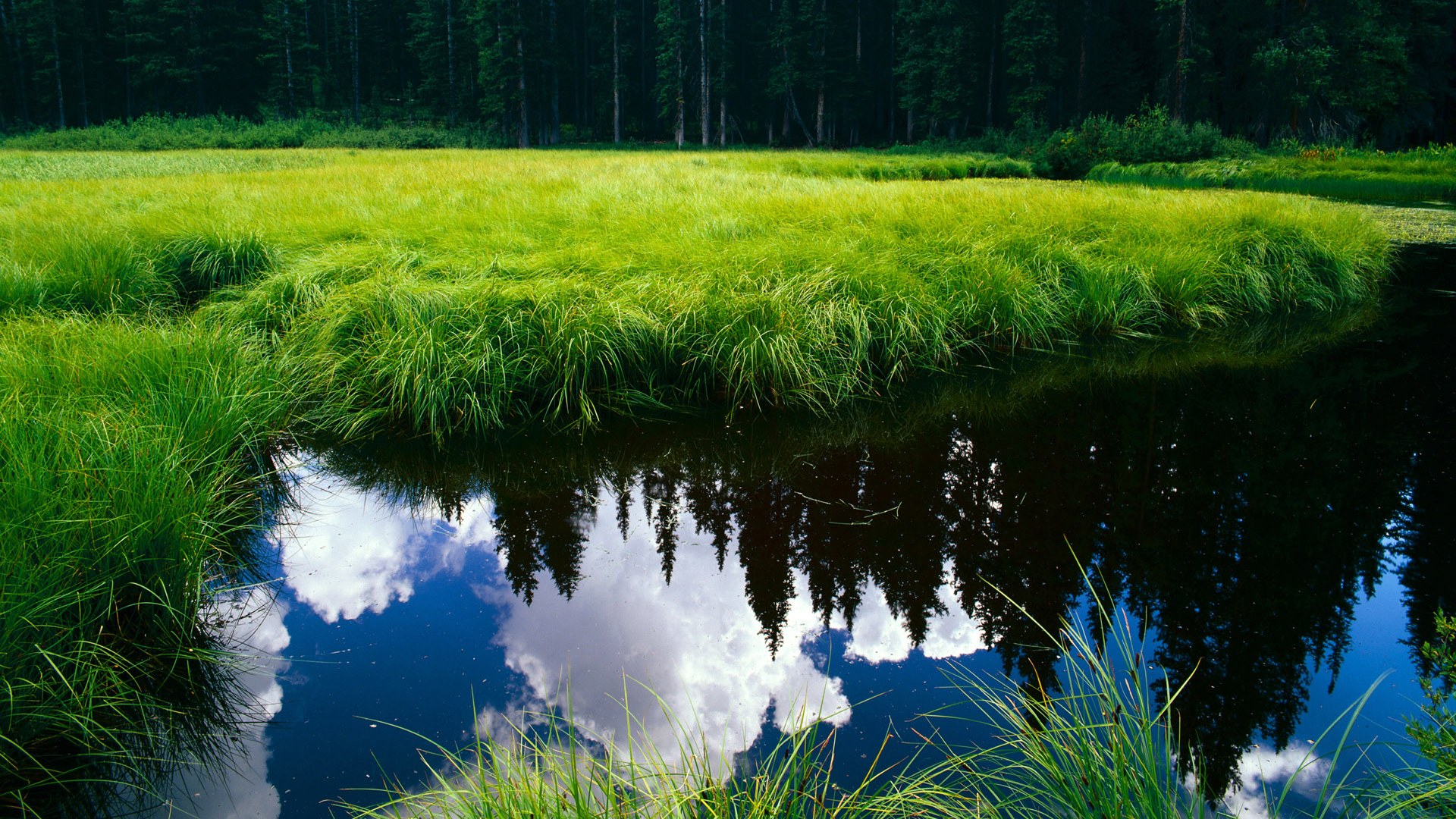 德甲快节奏引领:每次攻防都让人生畏,德甲最快提前几轮夺冠