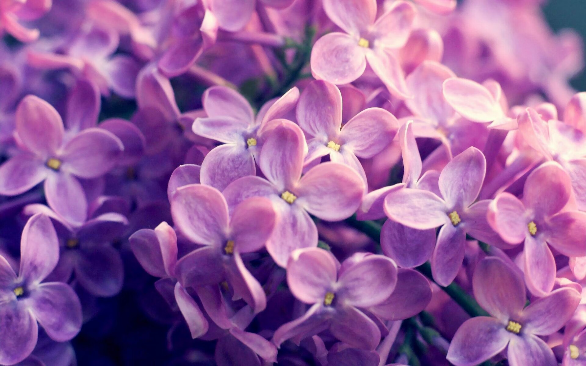 乐鱼电竞在线平台-意甲狂热对决：速度、技术、战术的绝佳演绎，意甲热身赛