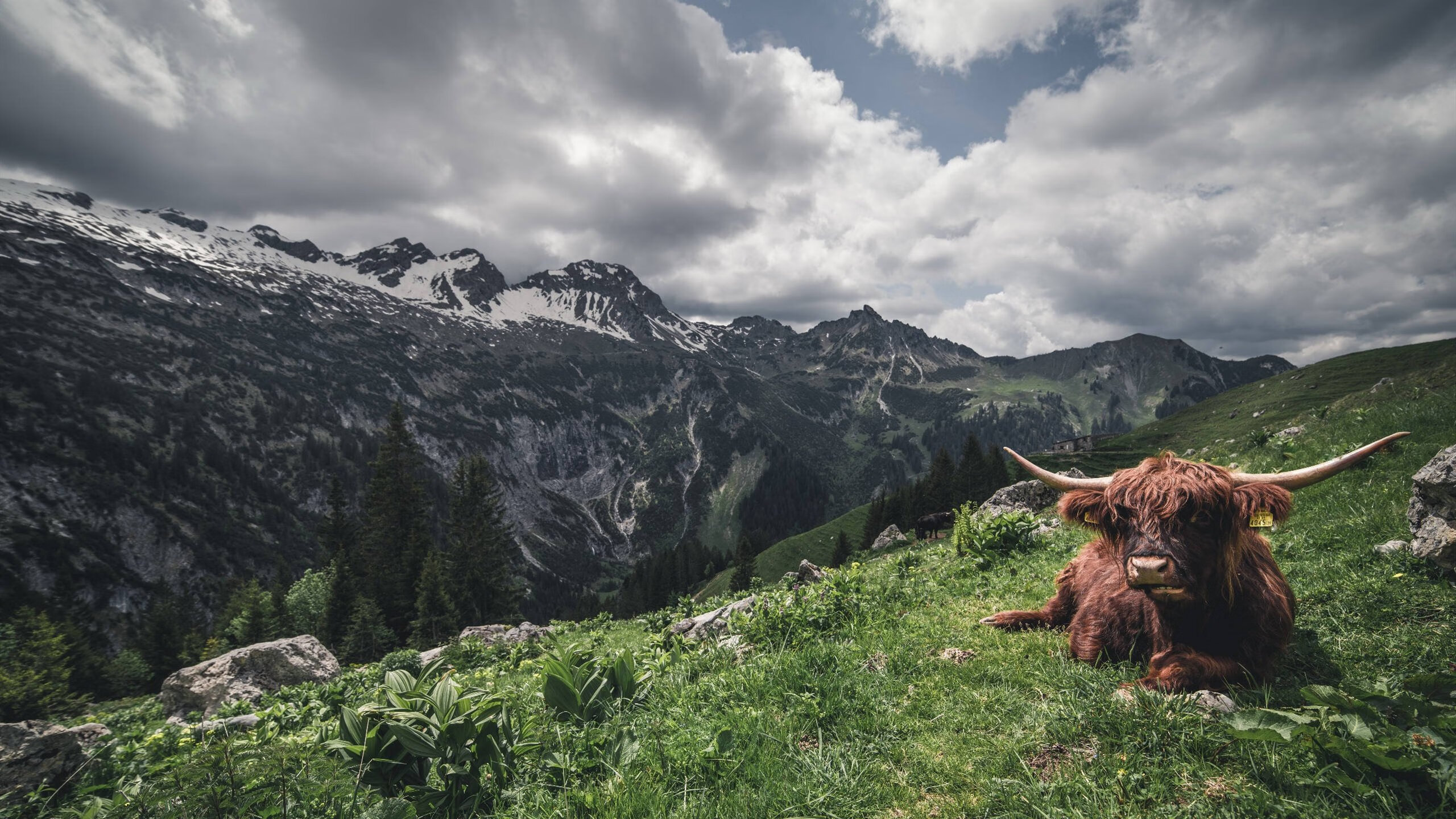混合泳个人赛中立代表队A选手全面发挥,个人混合泳比赛中